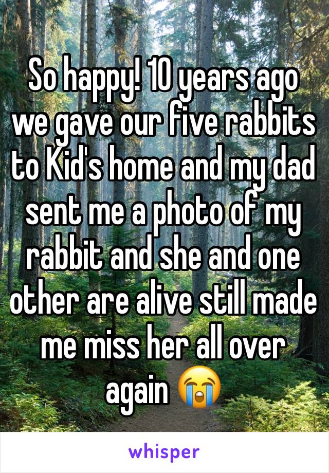 So happy! 10 years ago we gave our five rabbits to Kid's home and my dad sent me a photo of my rabbit and she and one other are alive still made me miss her all over again 😭 