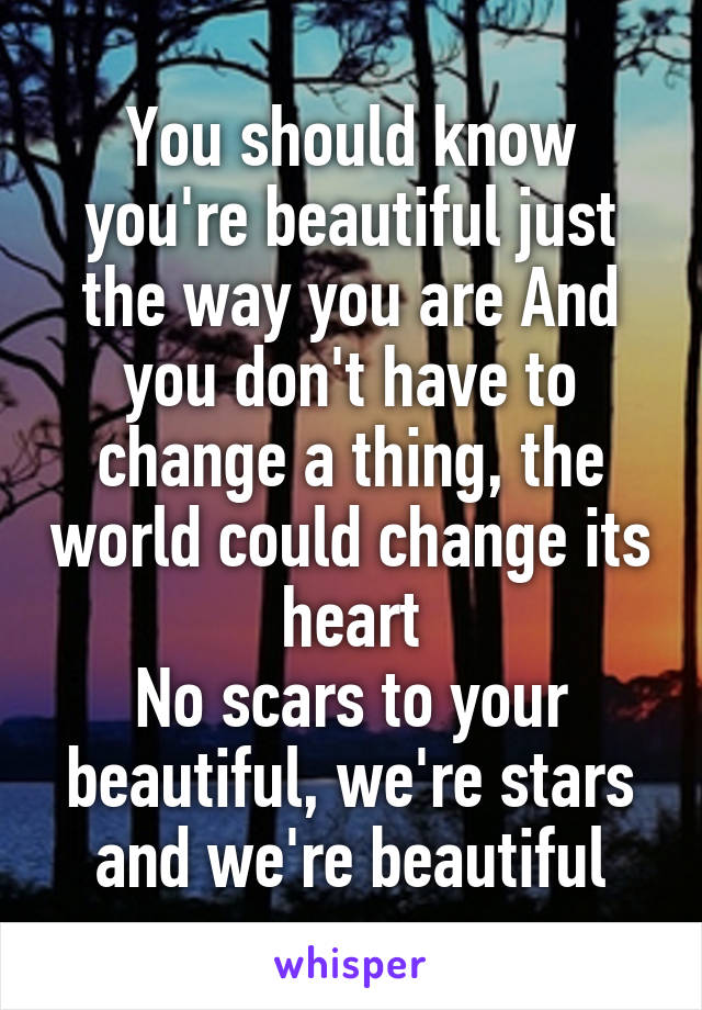 You should know you're beautiful just the way you are And you don't have to change a thing, the world could change its heart
No scars to your beautiful, we're stars and we're beautiful