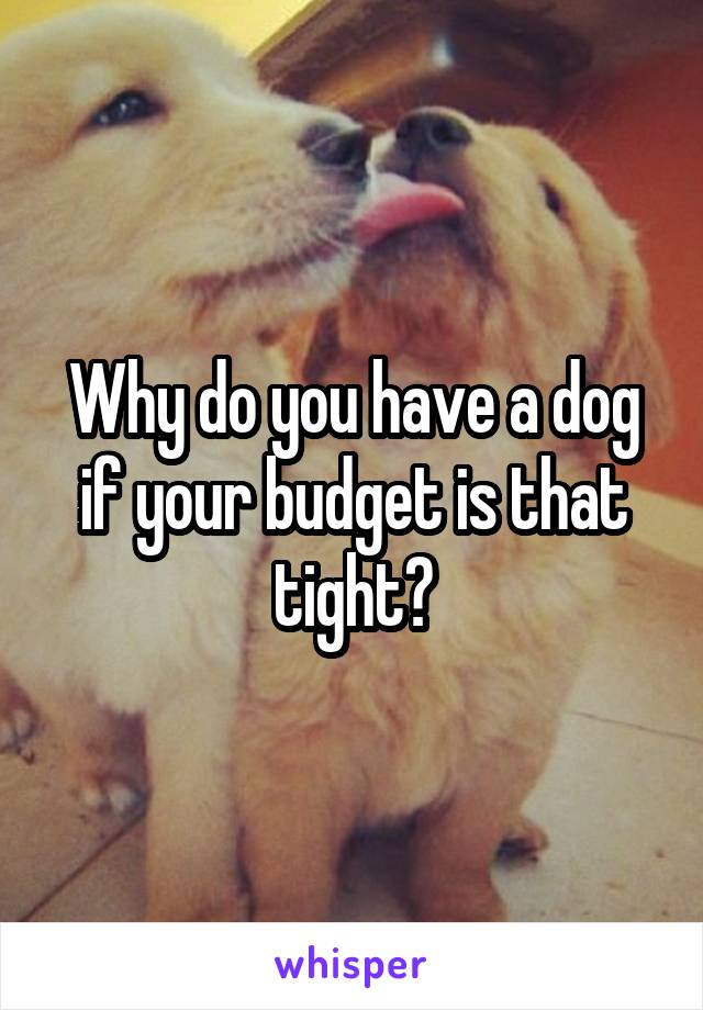Why do you have a dog if your budget is that tight?