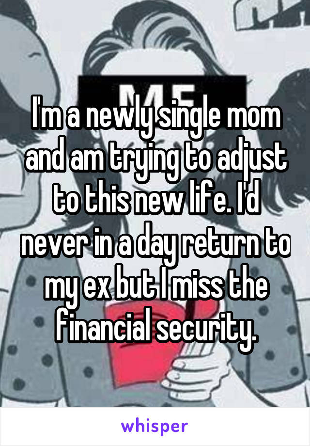 I'm a newly single mom and am trying to adjust to this new life. I'd never in a day return to my ex but I miss the financial security.
