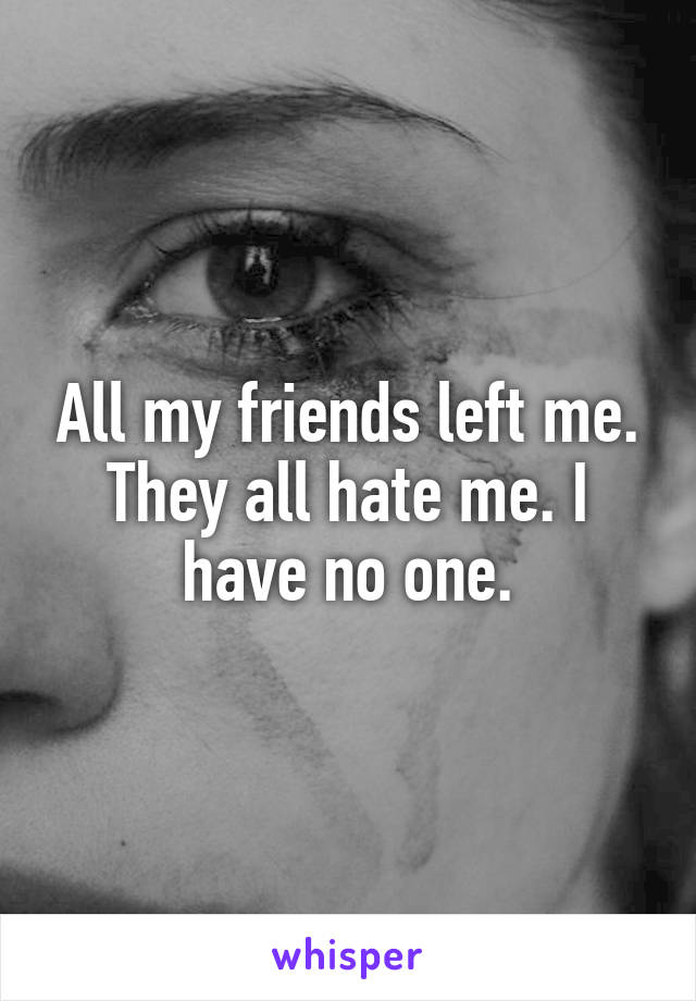 All my friends left me. They all hate me. I have no one.