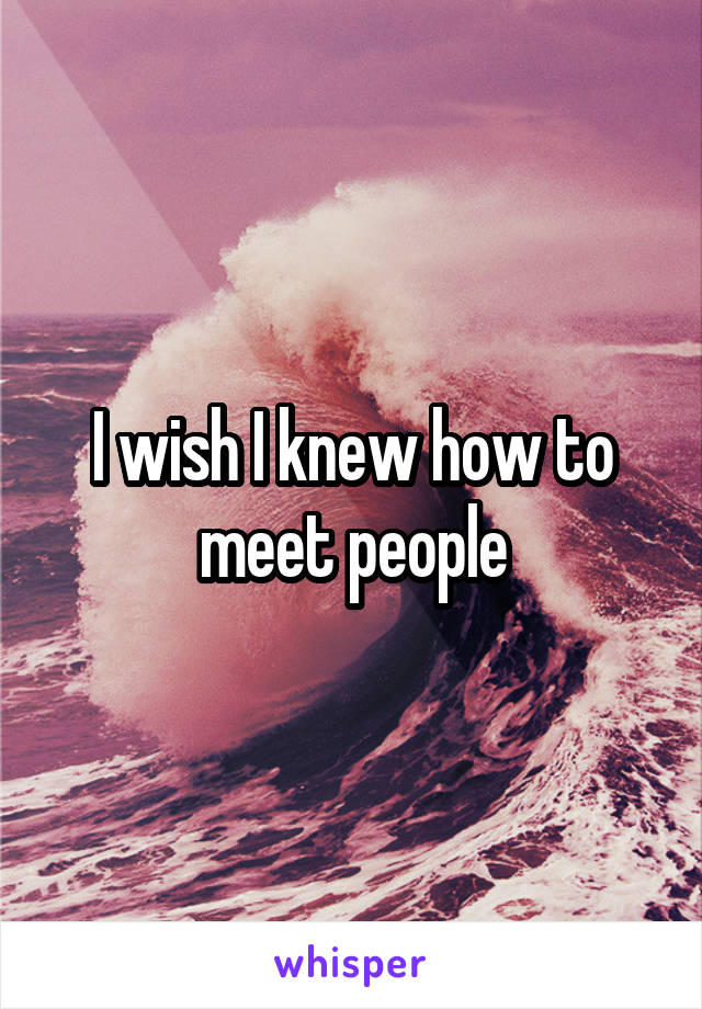 I wish I knew how to meet people