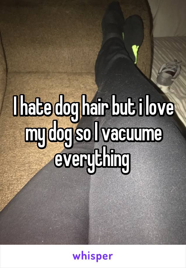 I hate dog hair but i love my dog so I vacuume everything 