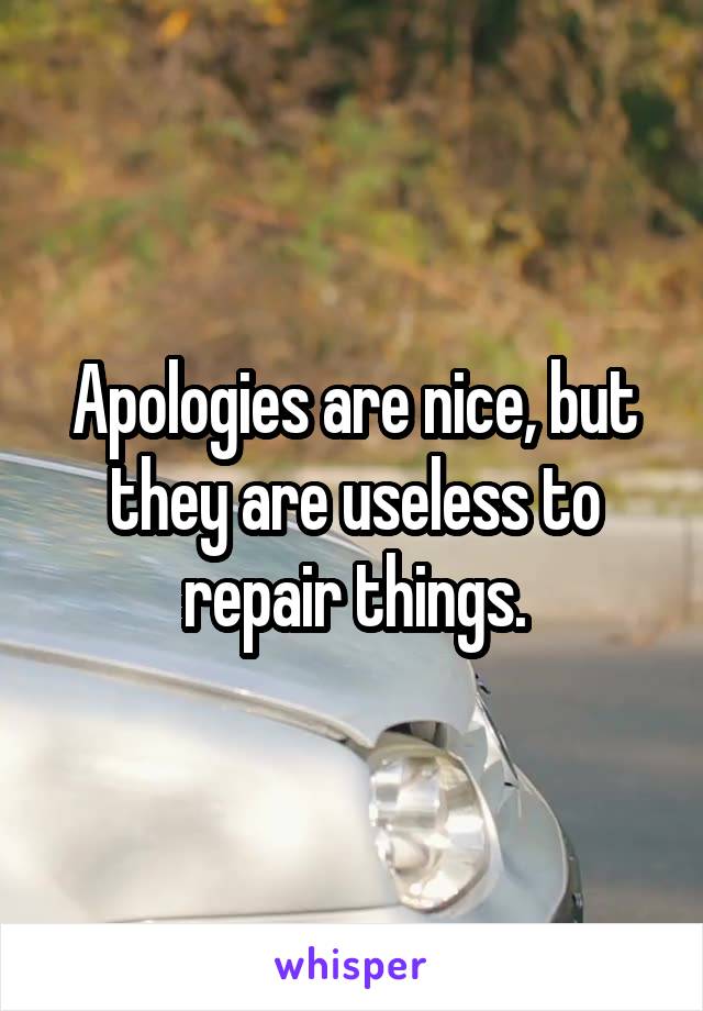 Apologies are nice, but they are useless to repair things.