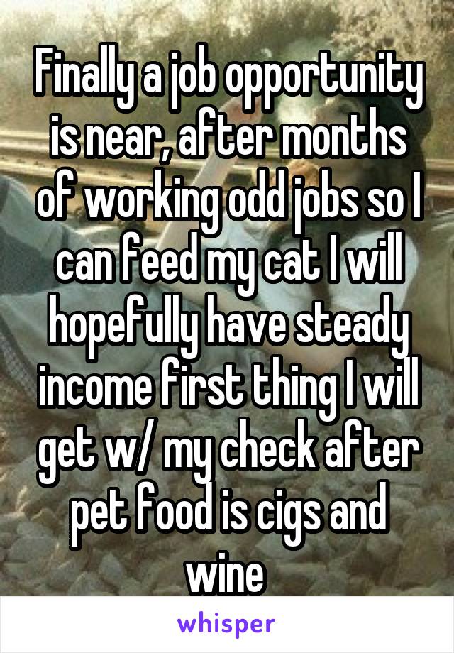 Finally a job opportunity is near, after months of working odd jobs so I can feed my cat I will hopefully have steady income first thing I will get w/ my check after pet food is cigs and wine 