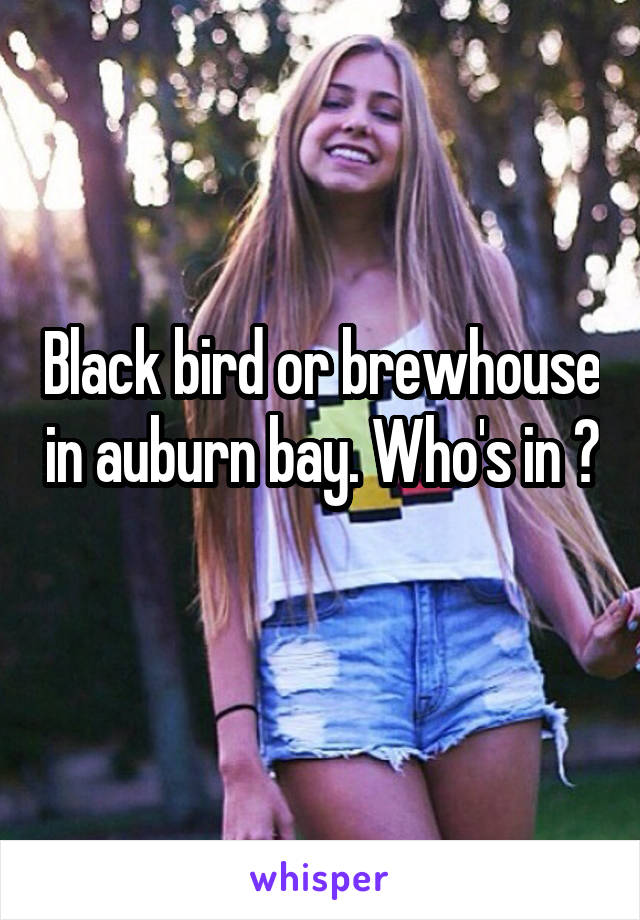 Black bird or brewhouse in auburn bay. Who's in ? 