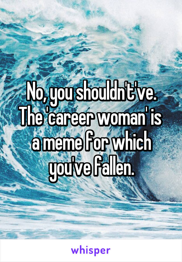 No, you shouldn't've.
The 'career woman' is 
a meme for which you've fallen.
