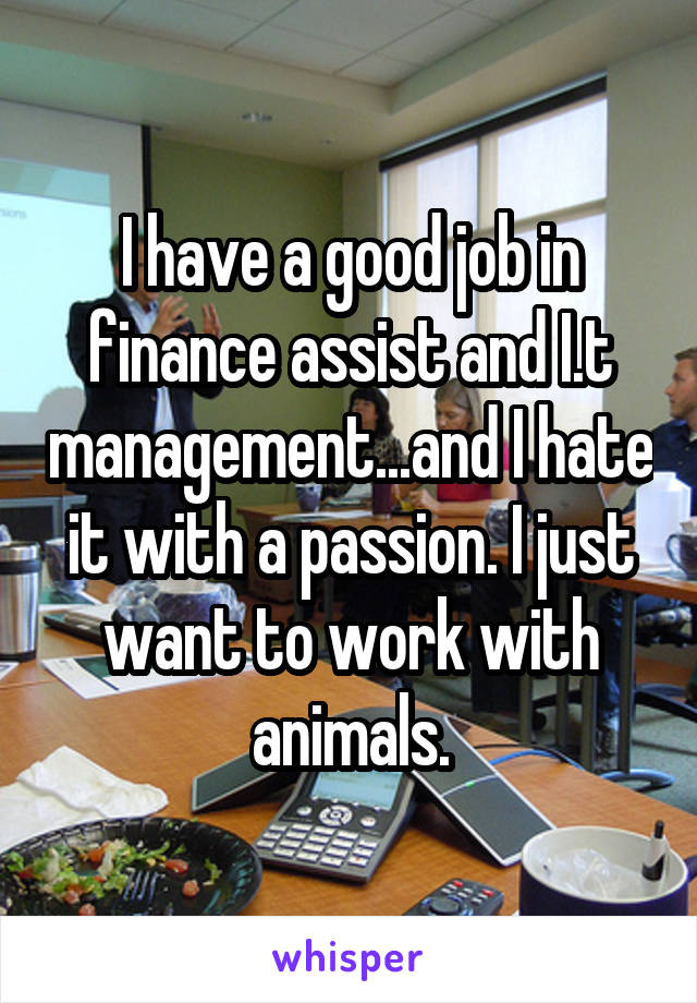 I have a good job in finance assist and I.t management...and I hate it with a passion. I just want to work with animals.