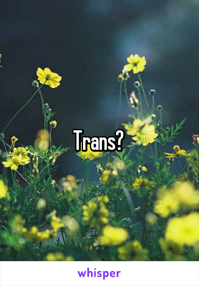 Trans? 