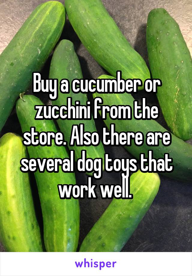 Buy a cucumber or zucchini from the store. Also there are several dog toys that work well. 