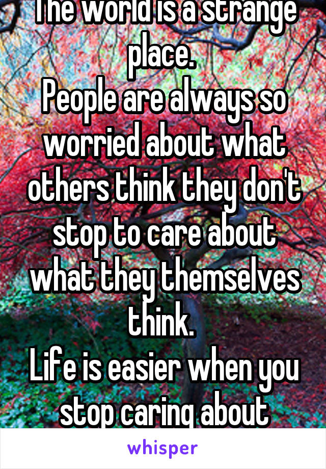 The world is a strange place. 
People are always so worried about what others think they don't stop to care about what they themselves think. 
Life is easier when you stop caring about opinions. 