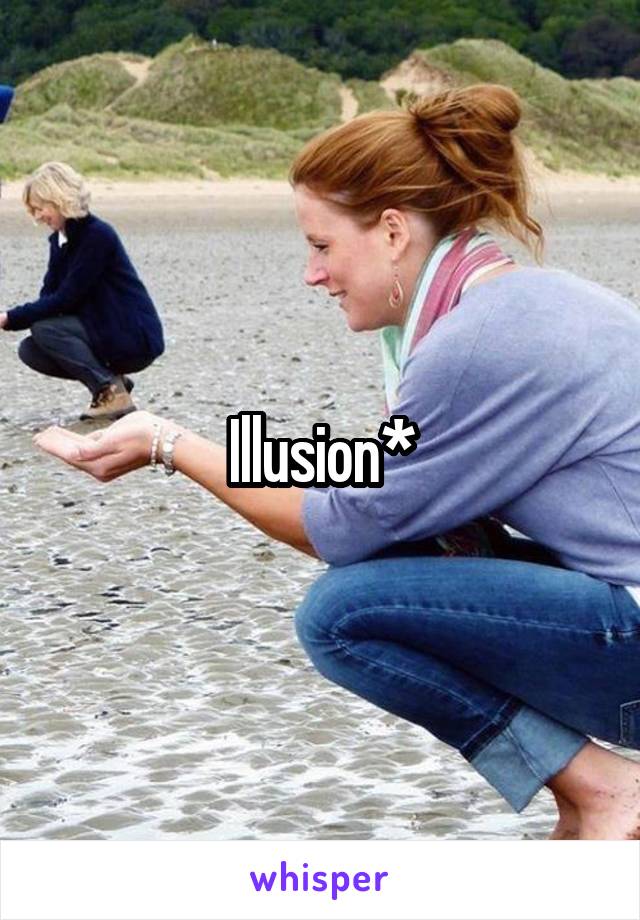 Illusion*