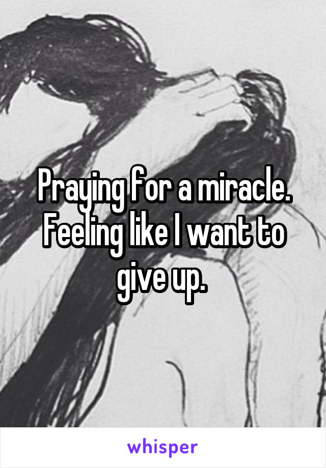 Praying for a miracle. Feeling like I want to give up. 