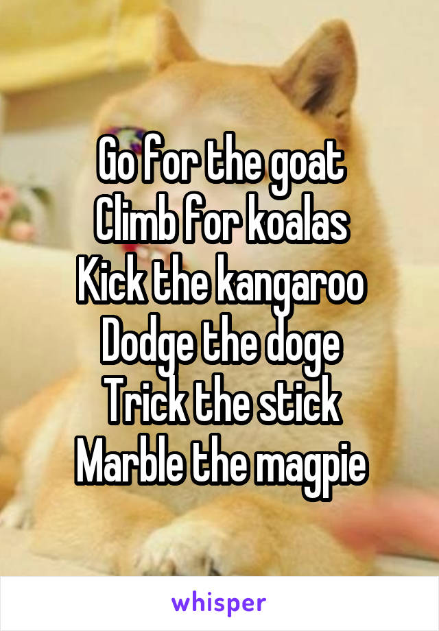 Go for the goat
Climb for koalas
Kick the kangaroo
Dodge the doge
Trick the stick
Marble the magpie