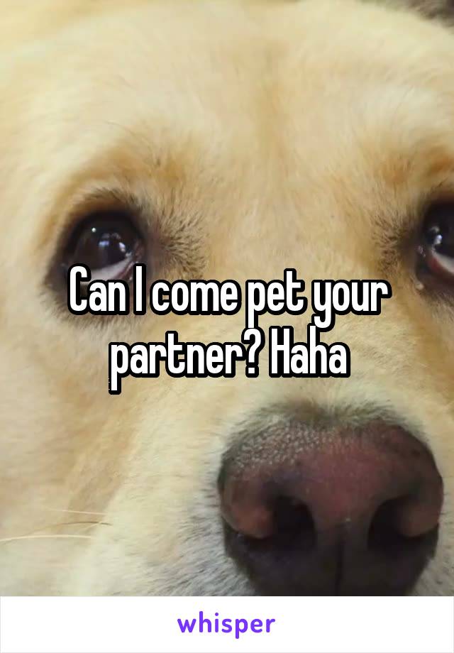 Can I come pet your partner? Haha