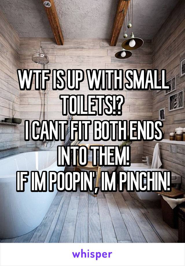 WTF IS UP WITH SMALL TOILETS!? 
I CANT FIT BOTH ENDS INTO THEM!
IF IM POOPIN', IM PINCHIN!