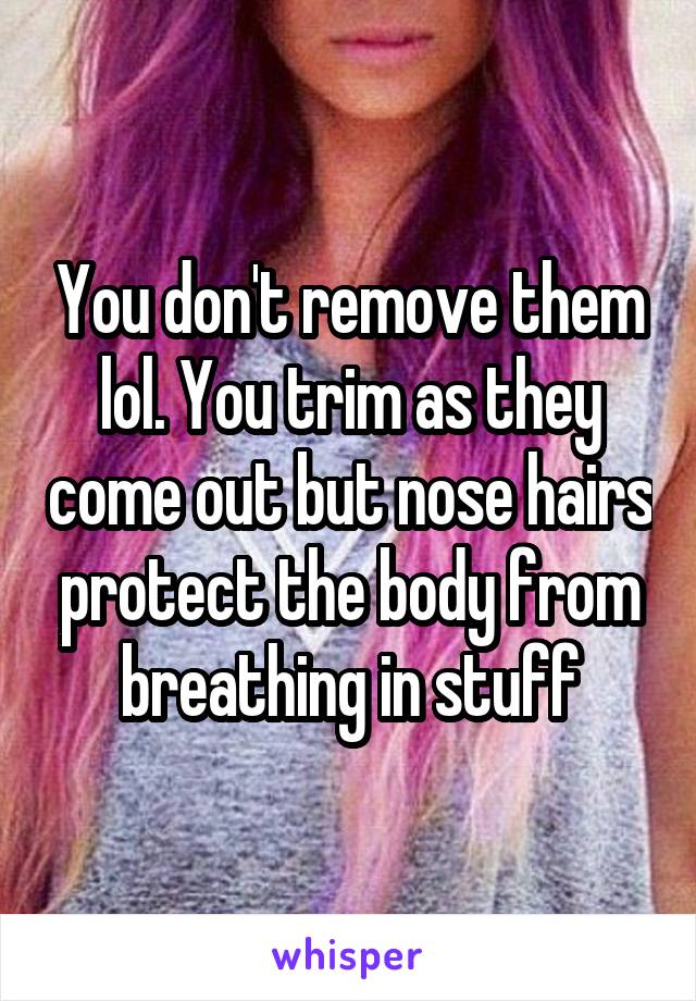 You don't remove them lol. You trim as they come out but nose hairs protect the body from breathing in stuff