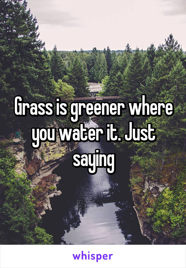 Grass is greener where you water it. Just saying