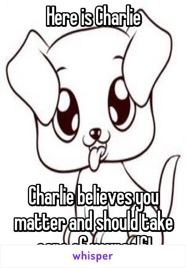 Here is Charlie






Charlie believes you matter and should take care of yourself!