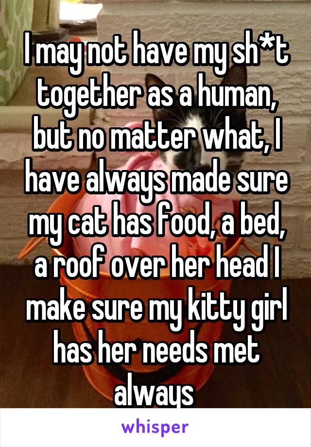 I may not have my sh*t together as a human, but no matter what, I have always made sure my cat has food, a bed, a roof over her head I make sure my kitty girl has her needs met always 