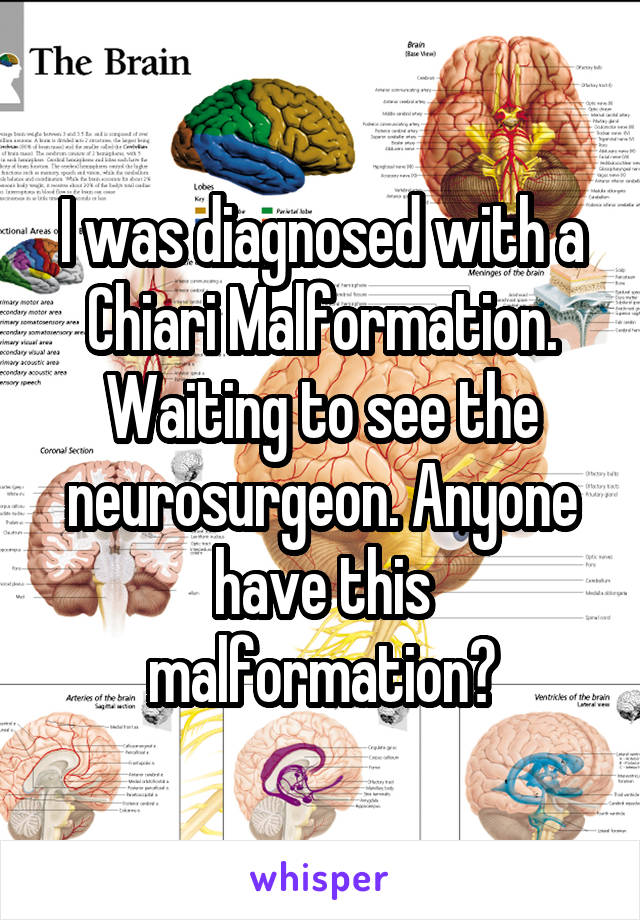 I was diagnosed with a Chiari Malformation. Waiting to see the neurosurgeon. Anyone have this malformation?