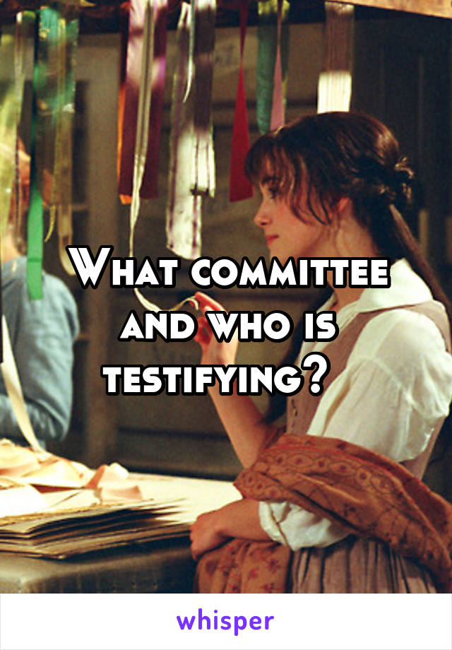 What committee and who is testifying?  