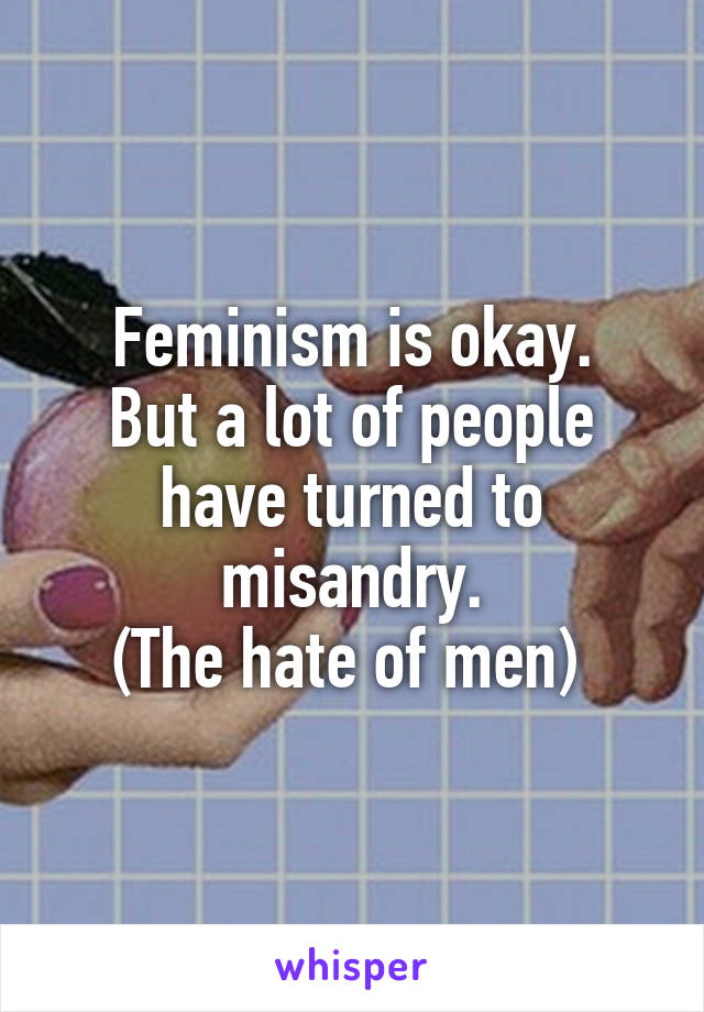 Feminism is okay.
But a lot of people have turned to misandry.
(The hate of men) 