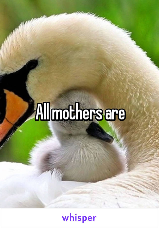 All mothers are