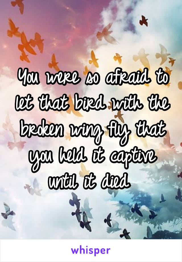 You were so afraid to let that bird with the broken wing fly that you held it captive until it died 