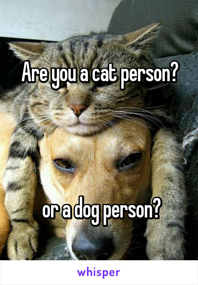 Are you a cat person?




 or a dog person?