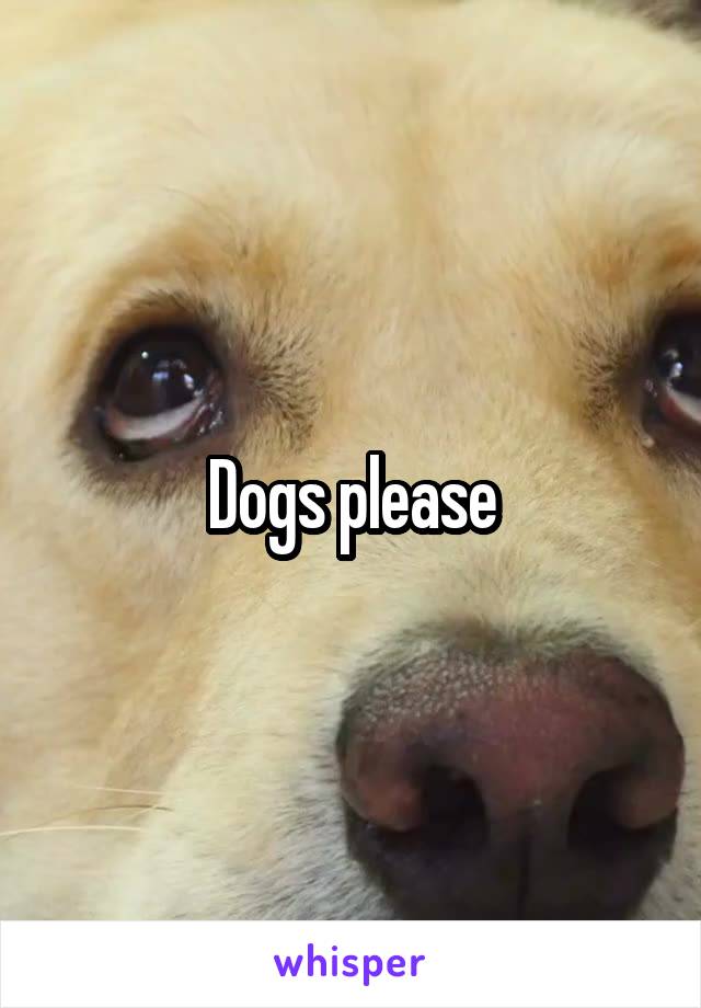 Dogs please