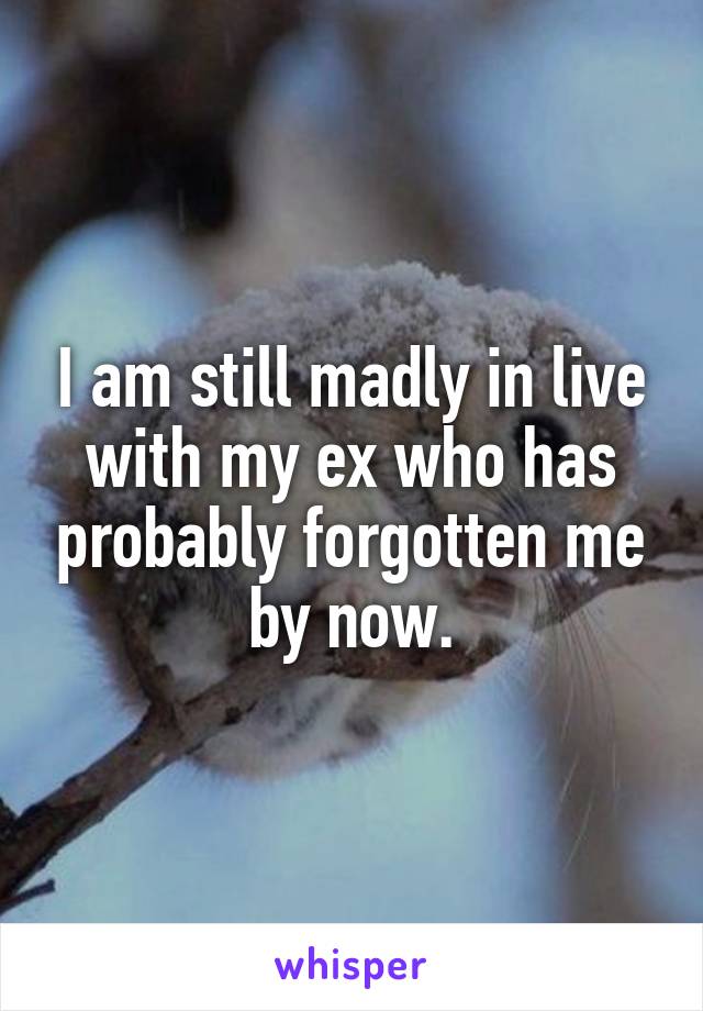 I am still madly in live with my ex who has probably forgotten me by now.