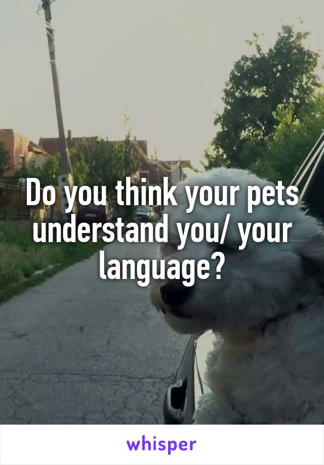 Do you think your pets understand you/ your language?