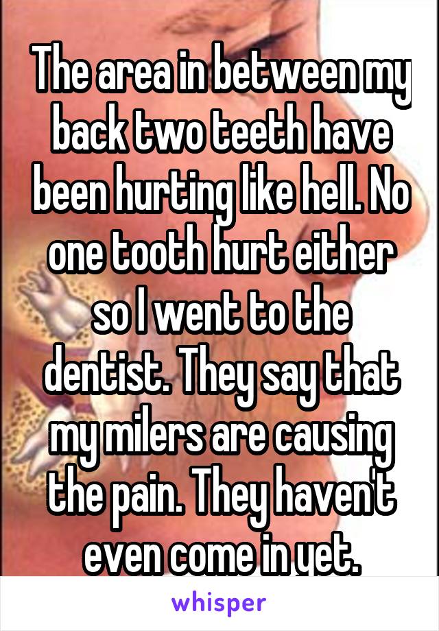 The area in between my back two teeth have been hurting like hell. No one tooth hurt either so I went to the dentist. They say that my milers are causing the pain. They haven't even come in yet.