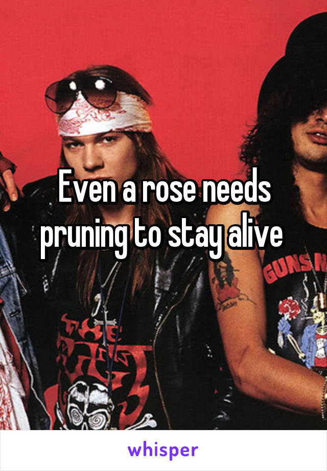 Even a rose needs pruning to stay alive 
