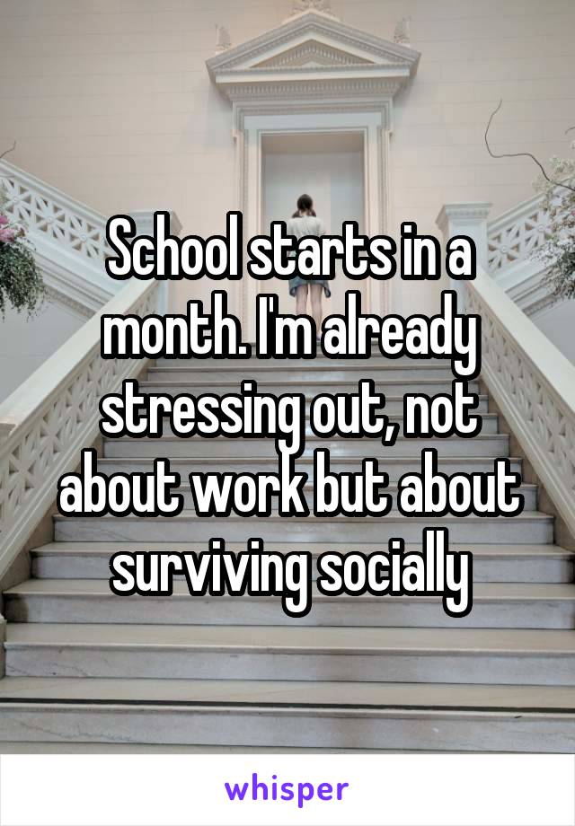 School starts in a month. I'm already stressing out, not about work but about surviving socially