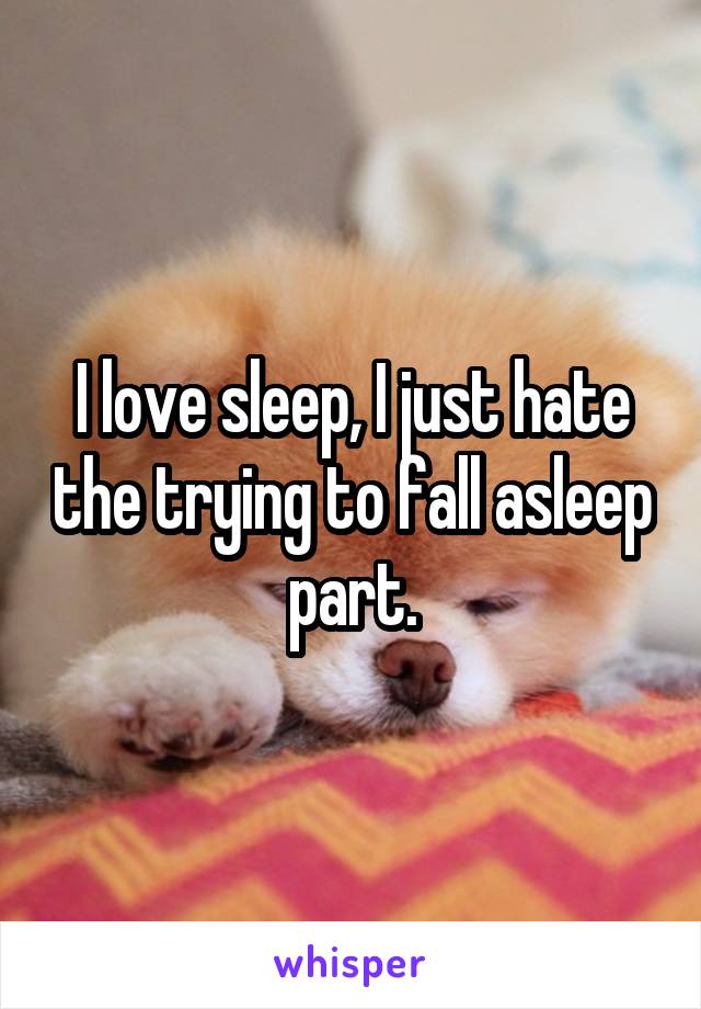 I love sleep, I just hate the trying to fall asleep part.