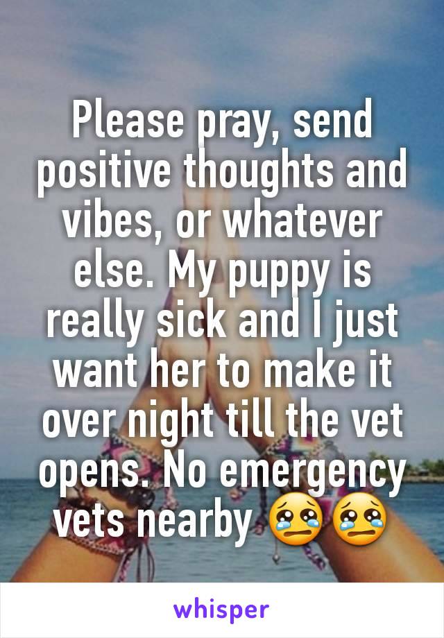 Please pray, send positive thoughts and vibes, or whatever else. My puppy is really sick and I just want her to make it over night till the vet opens. No emergency vets nearby 😢😢