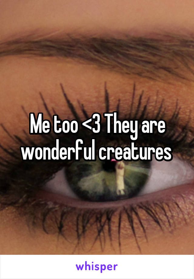 Me too <3 They are wonderful creatures 