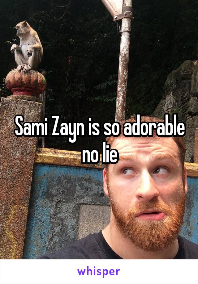 Sami Zayn is so adorable no lie