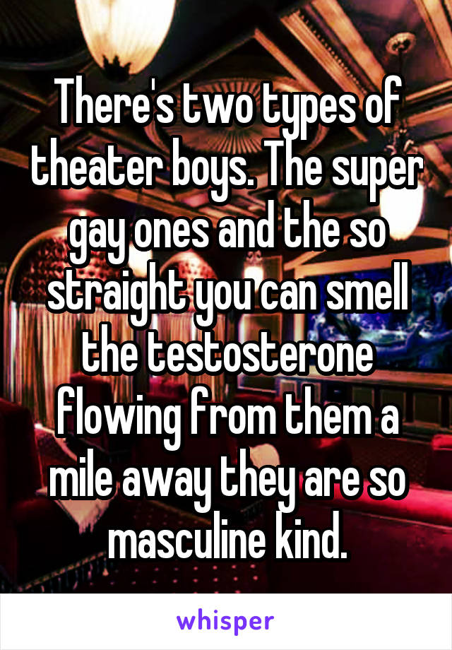 There's two types of theater boys. The super gay ones and the so straight you can smell the testosterone flowing from them a mile away they are so masculine kind.