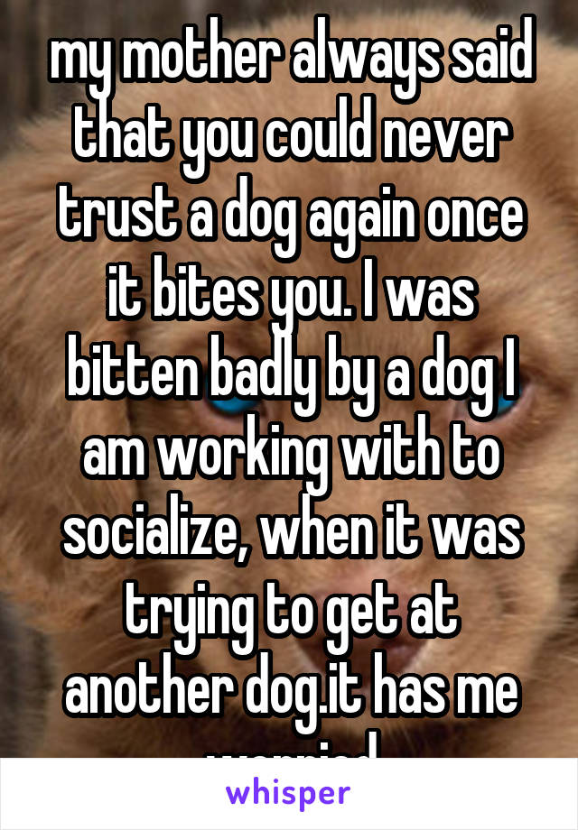 my mother always said that you could never trust a dog again once it bites you. I was bitten badly by a dog I am working with to socialize, when it was trying to get at another dog.it has me worried