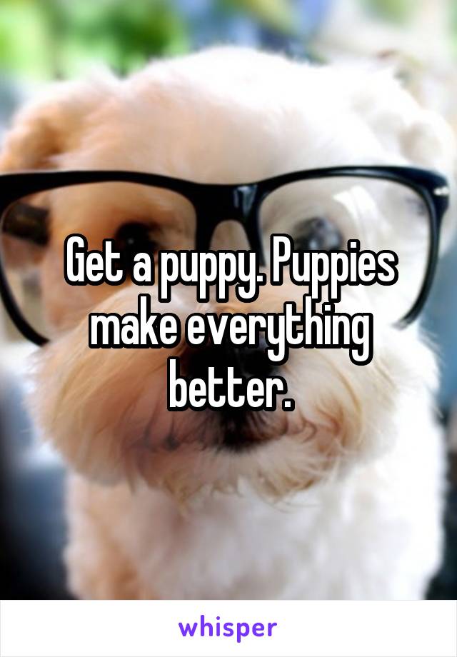 Get a puppy. Puppies make everything better.