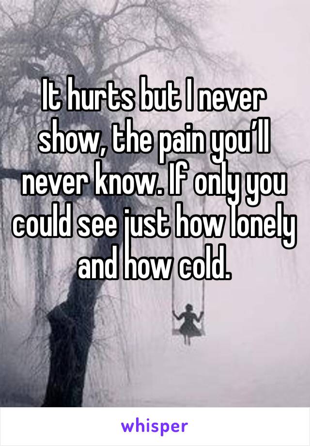 It hurts but I never show, the pain you’ll never know. If only you could see just how lonely and how cold. 