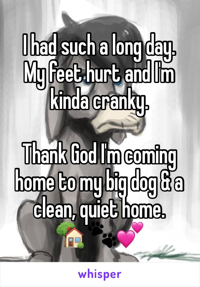 I had such a long day. 
My feet hurt and I'm kinda cranky. 

Thank God I'm coming home to my big dog & a clean, quiet home. 
🏡 🐾💕