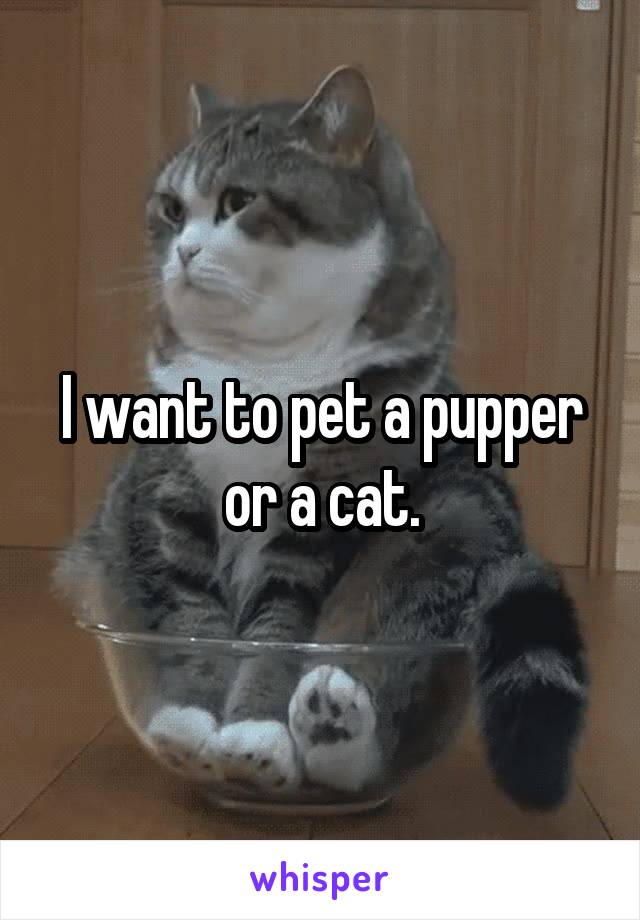 I want to pet a pupper or a cat.