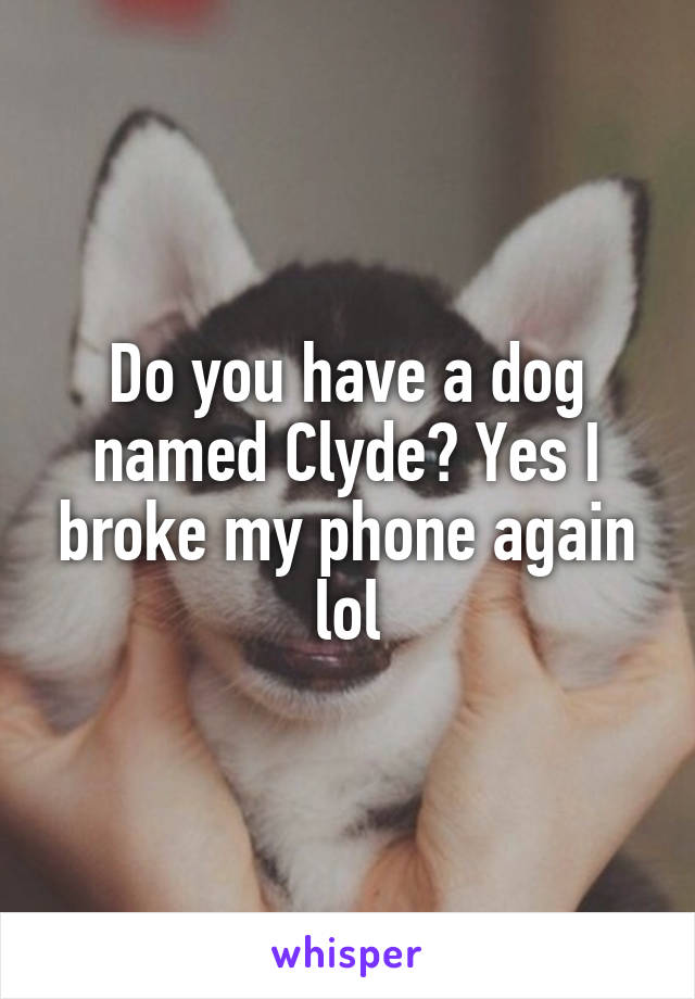 Do you have a dog named Clyde? Yes I broke my phone again lol