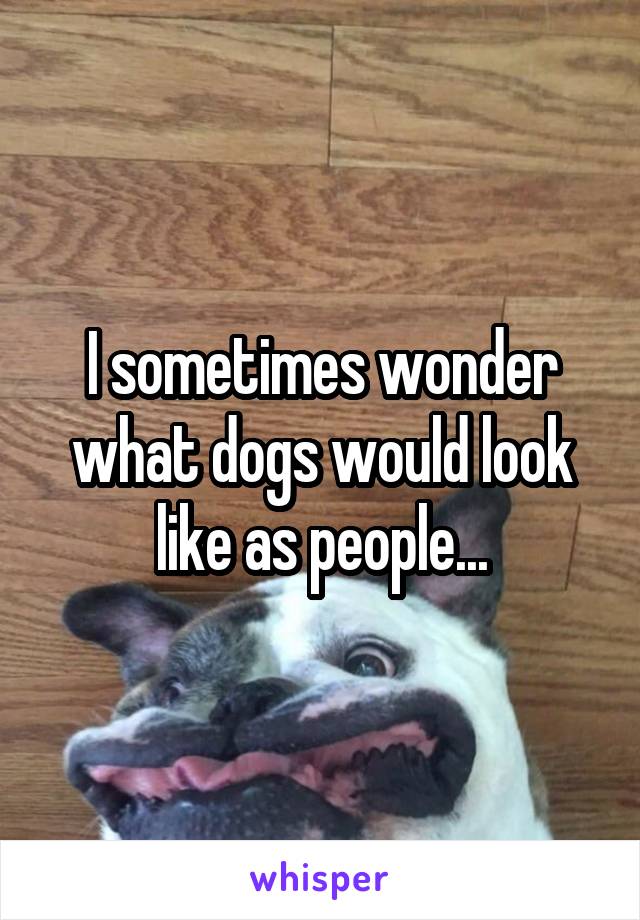 I sometimes wonder what dogs would look like as people...