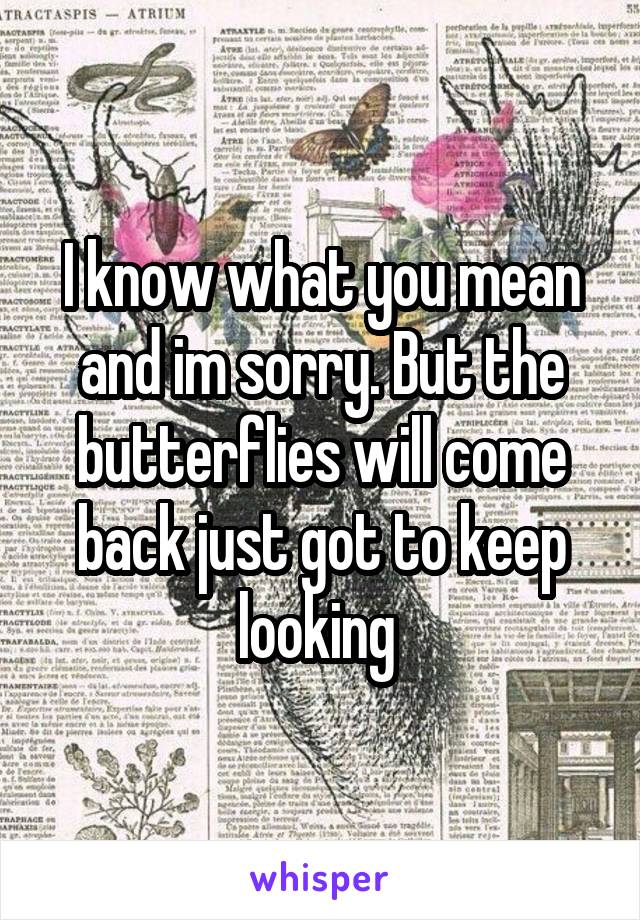 I know what you mean and im sorry. But the butterflies will come back just got to keep looking 