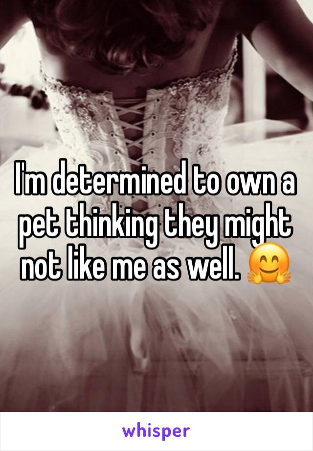 I'm determined to own a pet thinking they might not like me as well. 🤗